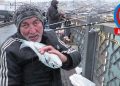 BALIK BAŞTAN KOKAR!