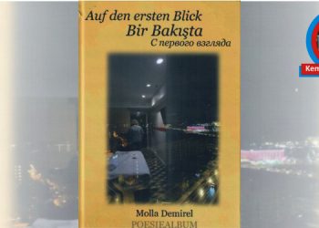 BİR BAKIŞTA…