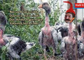 GELENEKSEL HAFTA SONU MANİLERİ