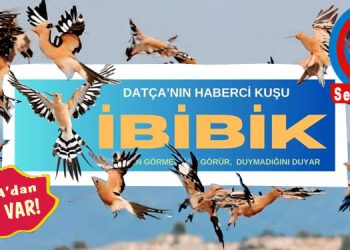 DATÇA’dan SELAM VAR…
