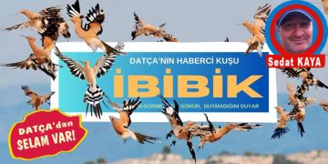 DATÇA’dan SELAM VAR…