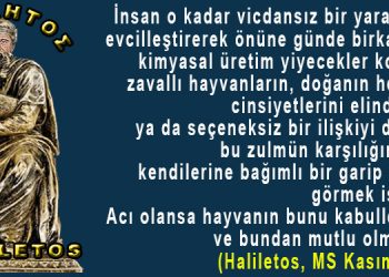 Haliletos’tan…