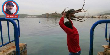 DELİ AHTAPOT