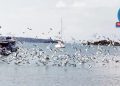 Engin GÖRÜŞ…