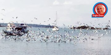 Engin GÖRÜŞ…