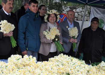 KARABURUN’UN MİS KOKULU FESTİVALİ NERGİSİYLE SİZİ ÇAĞIRIYOR