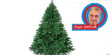 ÇAM AĞACI