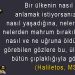 Haliletos’tan…
