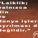 LAİKLİK MECLİSİ