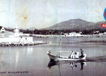 ARAP MOTORU