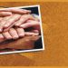 SOSYAL BELEDİYECİLİK VE HALKÇI YÖNETİM