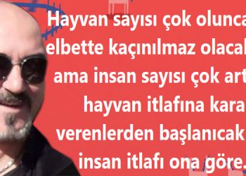 Orhan’dan…dan…dan…
