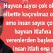 Orhan’dan…dan…dan…