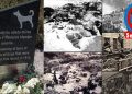 Datça’dan selam var…