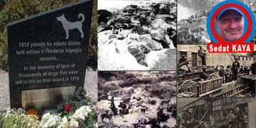 Datça’dan selam var…