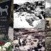 Datça’dan selam var…