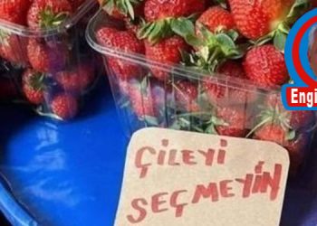 Engin görüş…