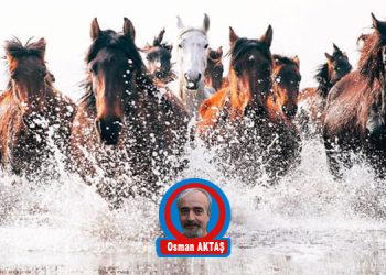 DOLU DİZGİN