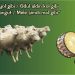 GELENEKSEL HAFTA SONU MANİLERİ