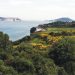 Karaburun; Cevdet Yüceer, Şiirköy…