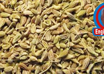 Engin Görüş…