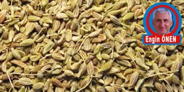 Engin Görüş…