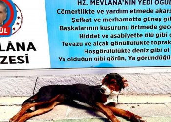 Köpek gibi yürüme günü: Führer, beyin, tıp