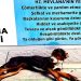 Köpek gibi yürüme günü: Führer, beyin, tıp