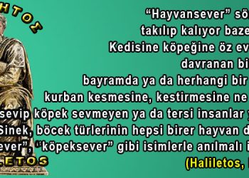 Haliletos’tan…