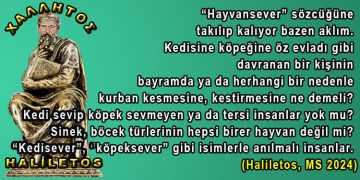 Haliletos’tan…