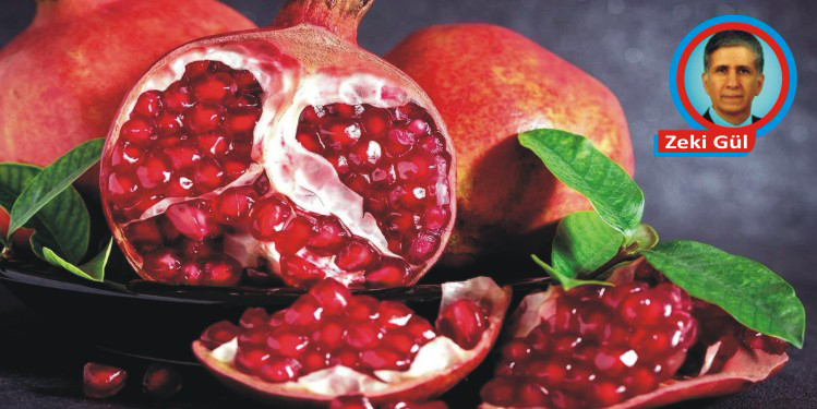 Nar: Sağlık, barış, esenlik