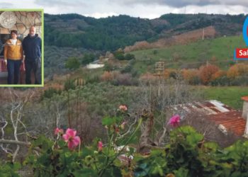 Zeytinin başkentine yolculuk