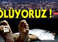 Face yazıları…