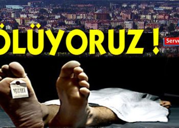 Face yazıları…