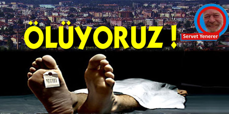 Face yazıları…