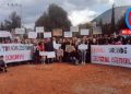 Orhanlı’da doğaseverlerin zaferi!