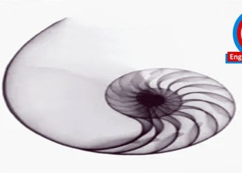 Engin Görüş…