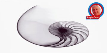 Engin Görüş…