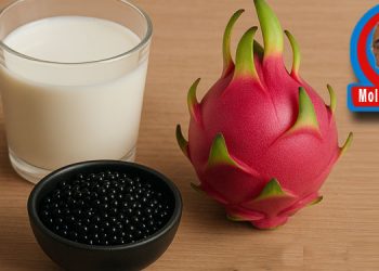 SENİN REÇETEN
