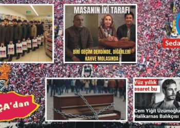 BİR PAPATYA KURUSU KADAR DİLSİZİM ŞİMDİ