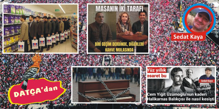 BİR PAPATYA KURUSU KADAR DİLSİZİM ŞİMDİ