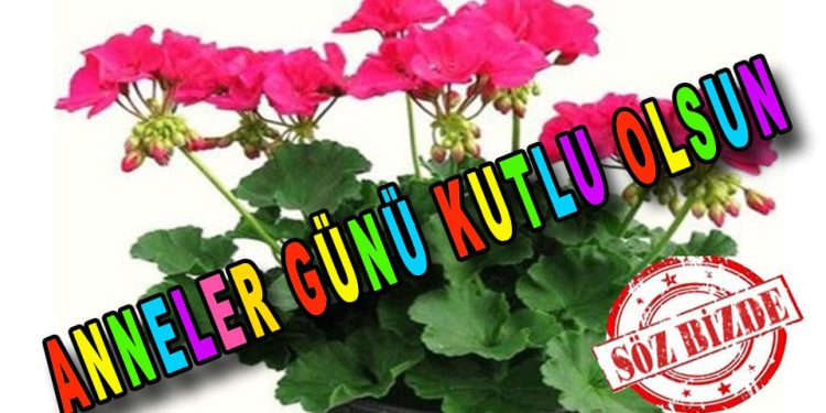Anneler Günü Kutlu Olsun…