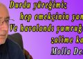 Molla Demirel