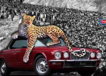 JAGUAR VAR… JAGUARCI VAR !