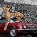 JAGUAR VAR… JAGUARCI VAR !