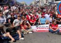 BİR TURNUSOL KAĞIDI HİKÂYESİ