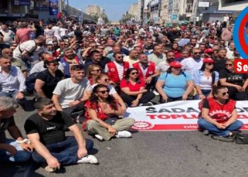 BİR TURNUSOL KAĞIDI HİKÂYESİ