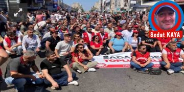 BİR TURNUSOL KAĞIDI HİKÂYESİ