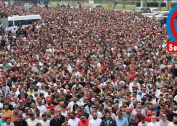 Datça’dan….