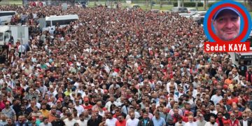 Datça’dan….